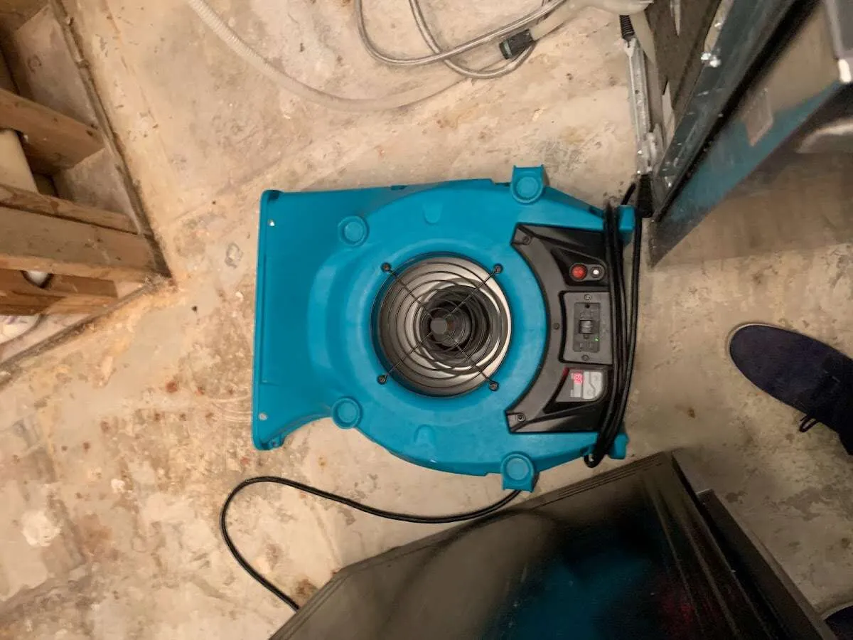 Air mover drying equipment for Mold Remediation & Removal in Blackfoot